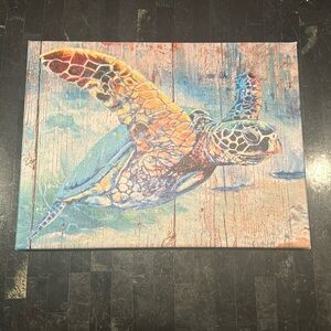 Turtle Art Work